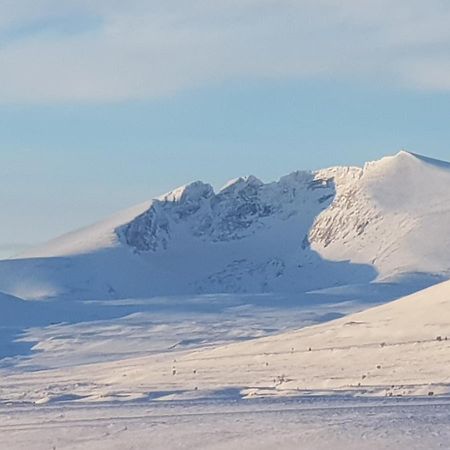 Snohetta Camping Hjerkinn Dış mekan fotoğraf